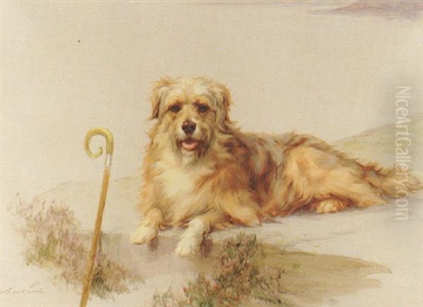 Lady Cecil's Lark - view 1