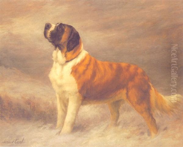"frandley Stephanie" - The Champion St. Bernard - view 1