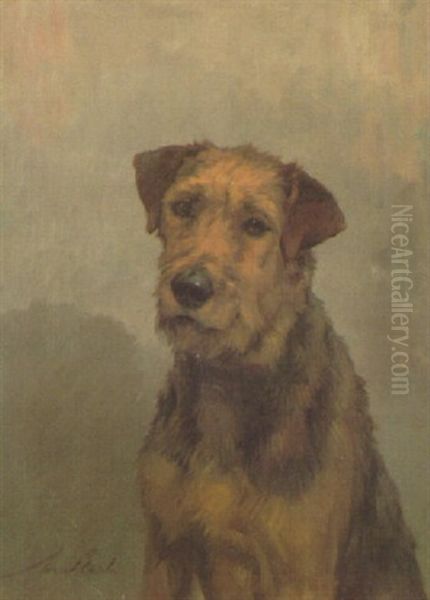 A Terrier - view 1