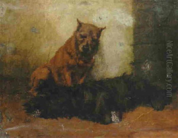 Terriers In A Barn - view 1