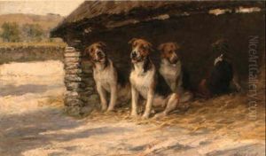 Fox Hounds