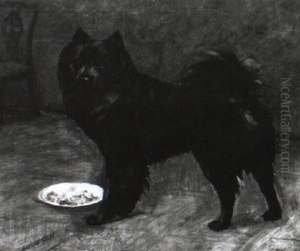 Portrait Of A Black Chow - view 1