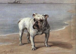 Dreadnought by Maud Earl