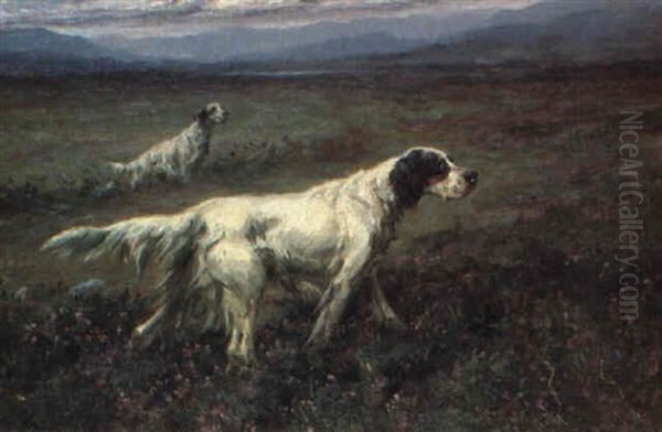 Setters On The Moor - view 1