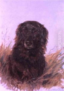 Portrait Of Ben, Flat Coat Retriever by Maud Earl