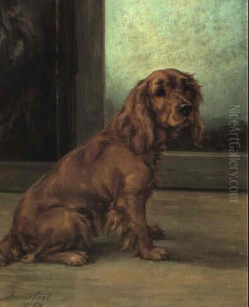 Michael, A Golden Cocker Spaniel - view 1