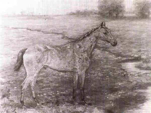 Pony In A Landscape - view 1