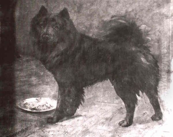 A Black Chow Chow - view 1