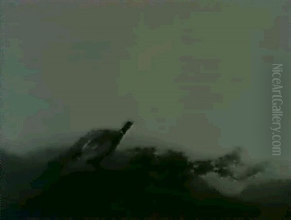Pheasant Alone On A Branch With Valley Below - view 1