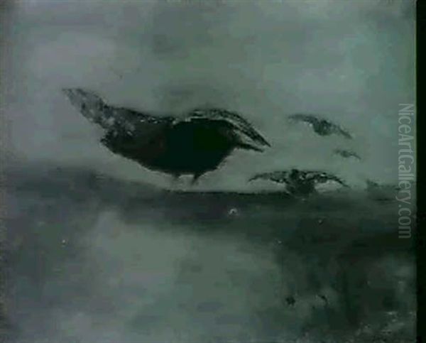Grouse - view 1