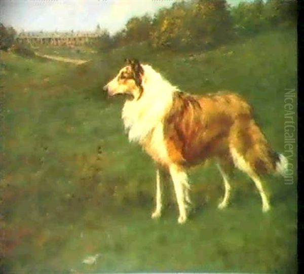 A Collie In A Landscape - view 1