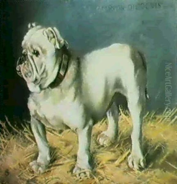 Champion Diogenes - view 1
