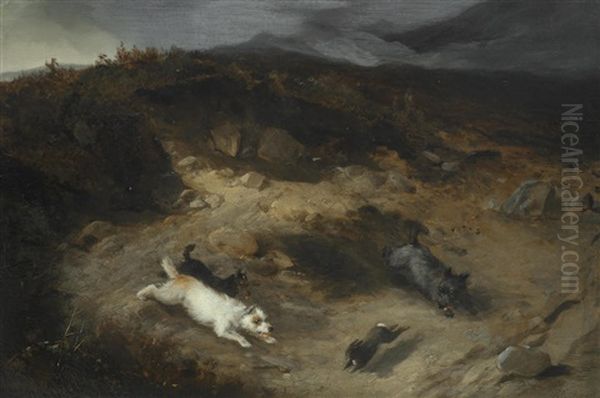 The Chase - view 1