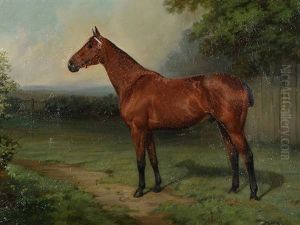 Study Of A Race Horse In A Field