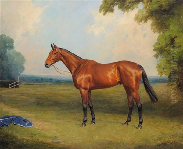 The Racehorse "golden Miller", Standing In A Paddock At Exning, Newmarket - view 1