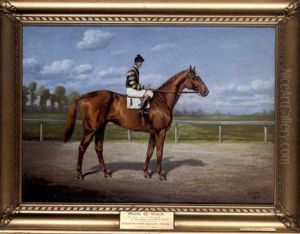 "man O' War"