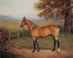 "hock", A Bay Hunter In A Landscape