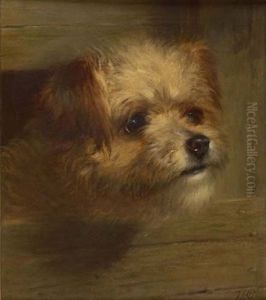 Study Of A Terrier