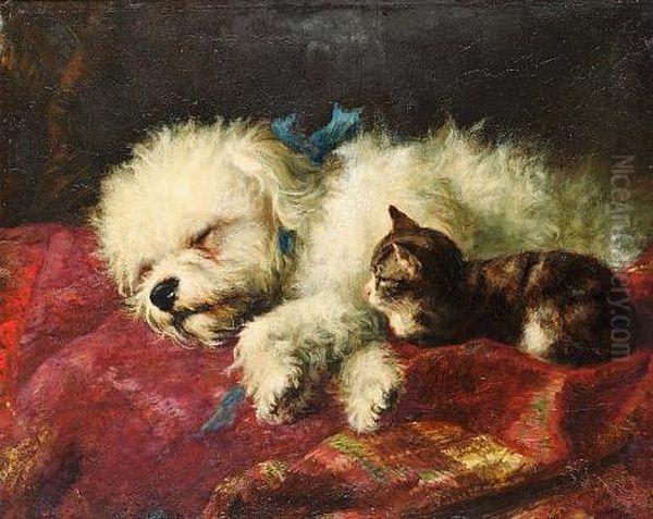 Taking A Nap - view 1