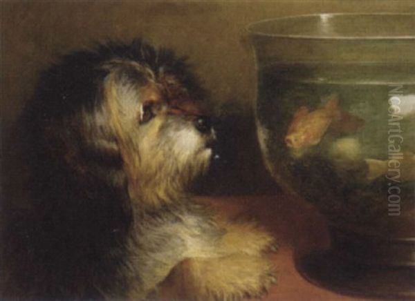 The Pet Goldfish - view 1