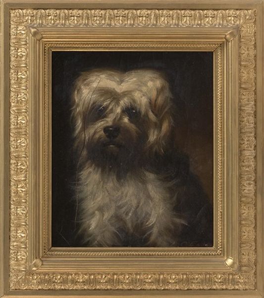 Portrait Of A White Dog - view 1