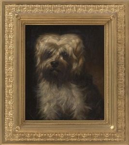 Portrait Of A White Dog Portrait Of A White Dog