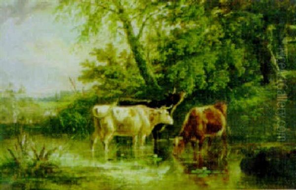 A Quiet Brook - view 1