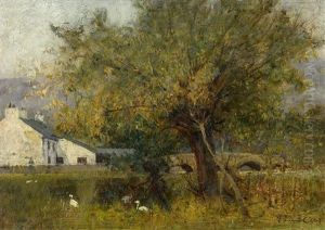 Landschaft Mit Cottage