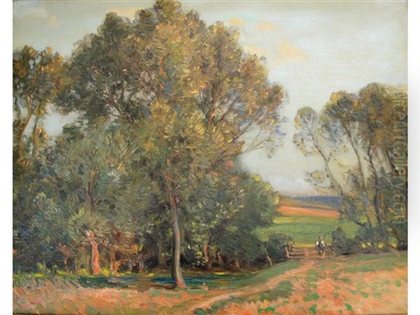 The Path Through The Field - view 1