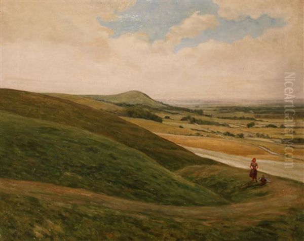 The Sussex Downs - view 1