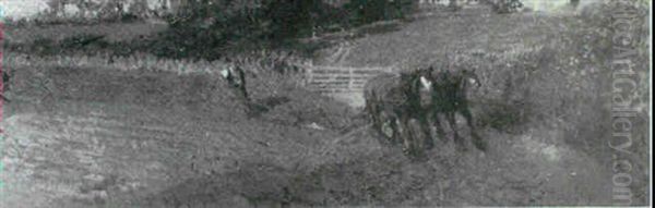Ploughing The Field - view 1