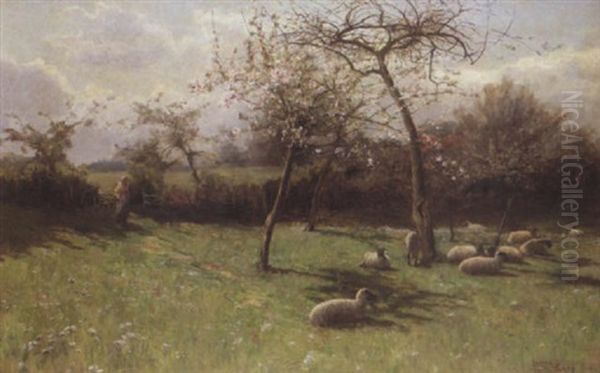 A Spring Morning - view 1