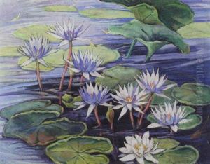 Waterlilies