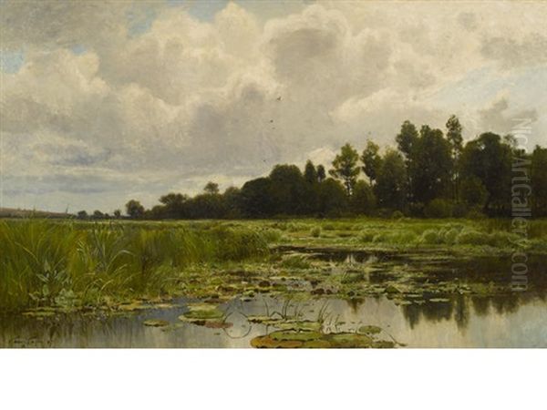 Marshes Of The Shiawassee - view 1