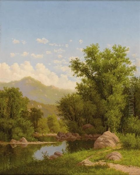 Spring Landscape Along A River - view 1
