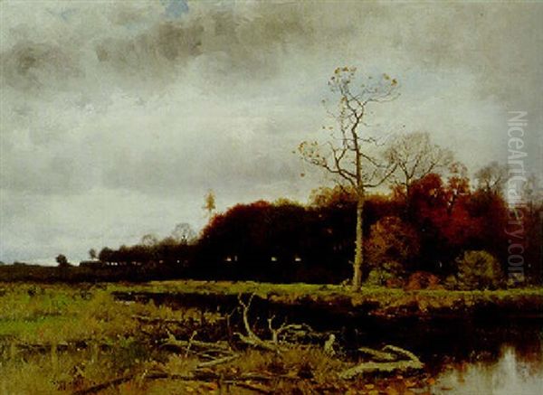 Late Autumn - view 1
