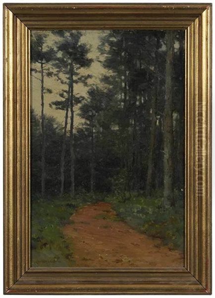 White Pines - view 1