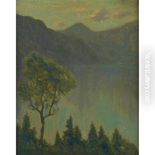 Evening-lake Como - view 1
