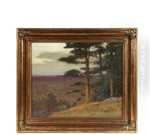 Hill Top, Colebrook Pines