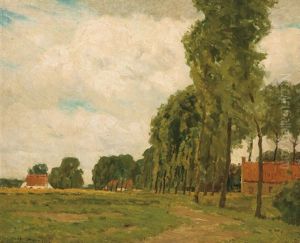 Poplars, Bruges