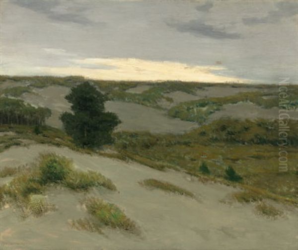 The Gray Dunes, Belgium - view 1