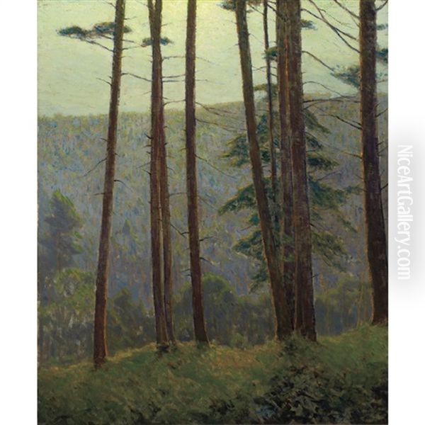 In Pennsylvania Woods (silhouette Pines) - view 1
