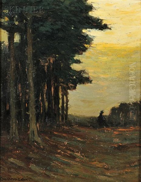Edge Of The Pine Grove - view 1