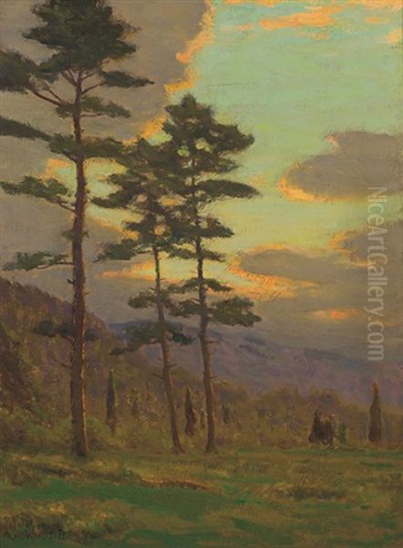 Sunlight Through The Trees - view 1