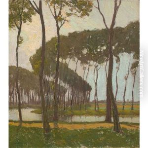 Poplars, Bruges (belgium)