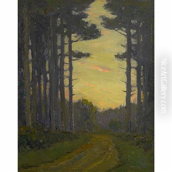 Road Through The Woods - view 1