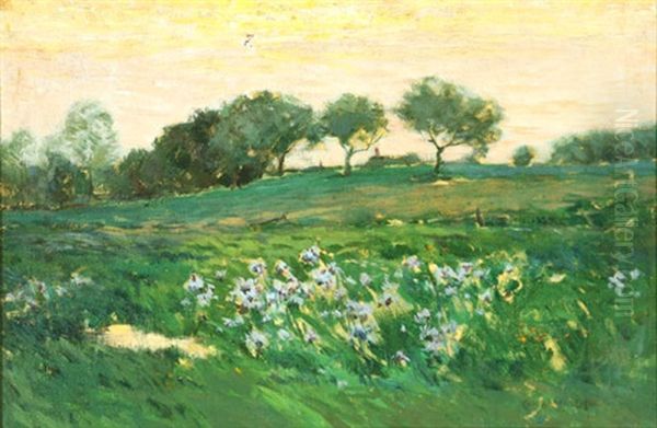 California Landscape With Field Of Purple Irises - view 1