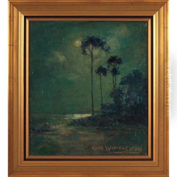 Nocturnal Landscape - view 1