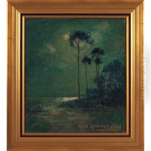 Nocturnal Landscape Nocturnal Landscape