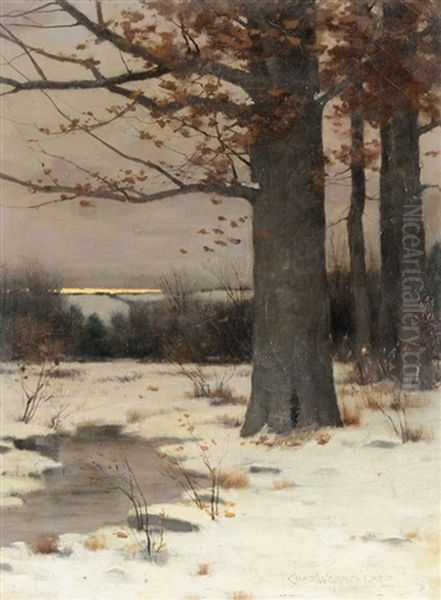 Winter Sunset In The Woods - view 1